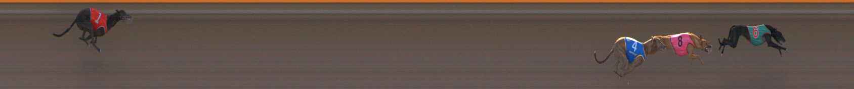 Photo finish for Ballarat Race 1