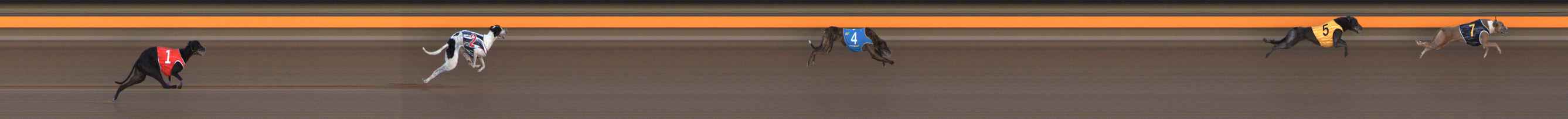Photo finish for Ballarat Race 2