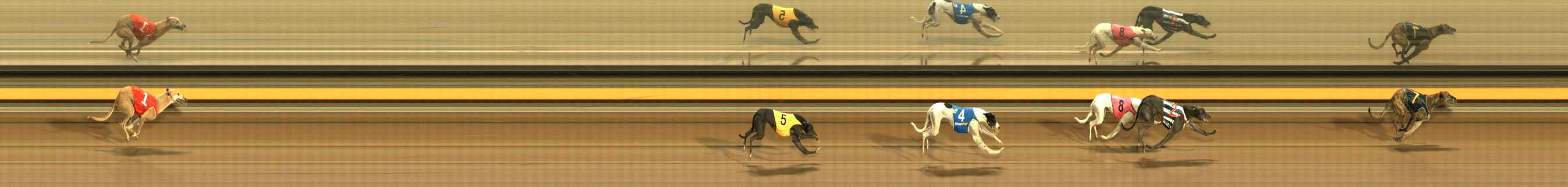 Photo finish for Ballarat Race 7