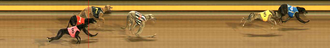 Photo finish for Ballarat Race 8