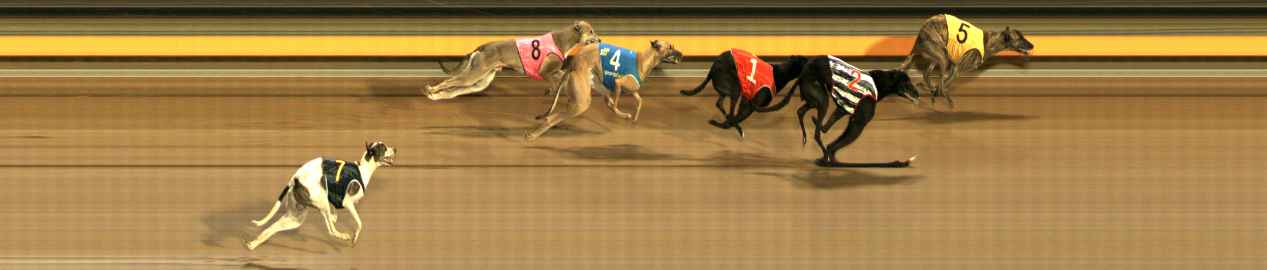 Photo finish for Ballarat Race 9