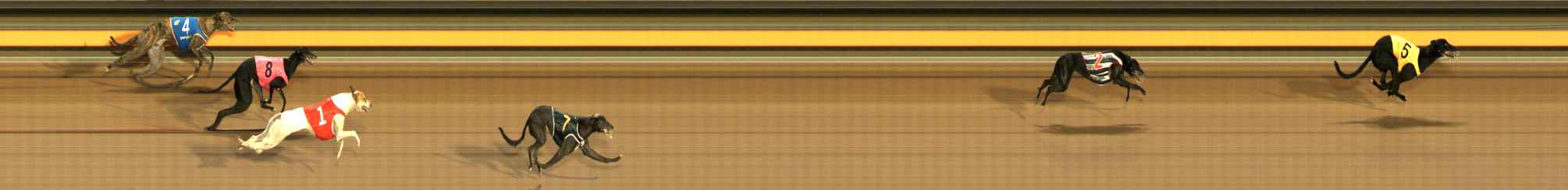 Photo finish for Ballarat Race 10