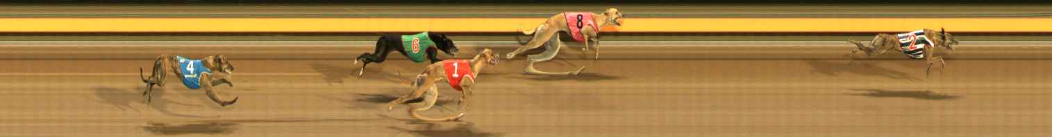 Photo finish for Ballarat Race 11