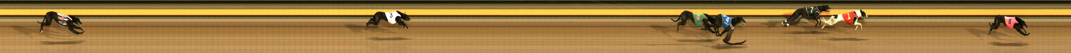 Photo finish for Ballarat Race 12