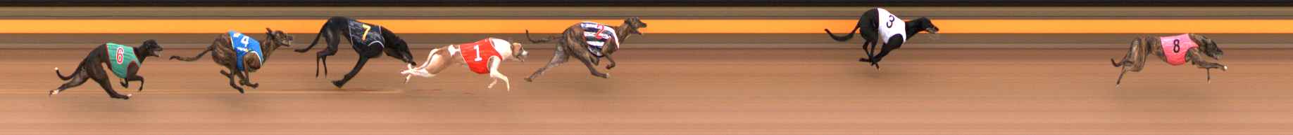 Photo finish for Ballarat Race 1