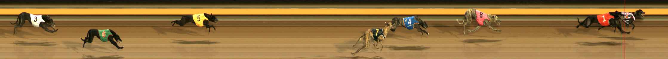 Photo finish for Ballarat Race 9