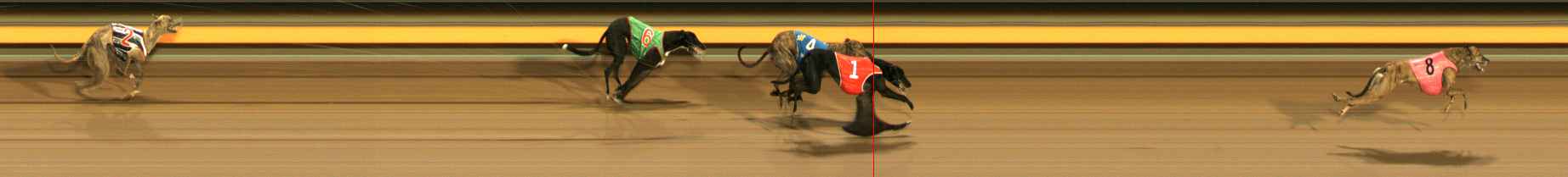 Photo finish for Ballarat Race 10