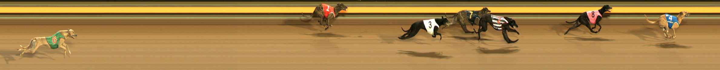 Photo finish for Ballarat Race 12