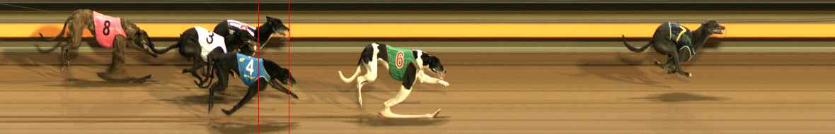 Photo finish for Ballarat Race 14