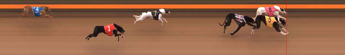 Photo finish for Ballarat Race 4