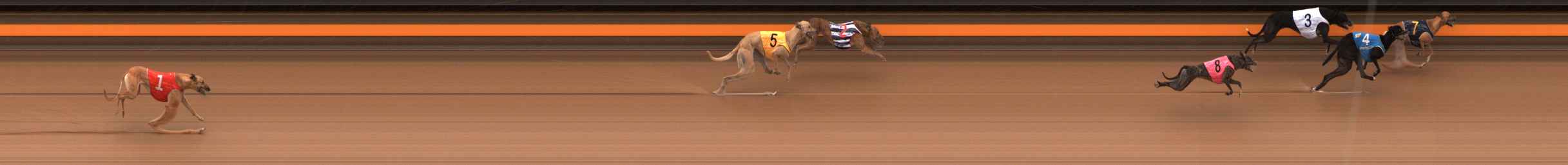 Photo finish for Ballarat Race 5