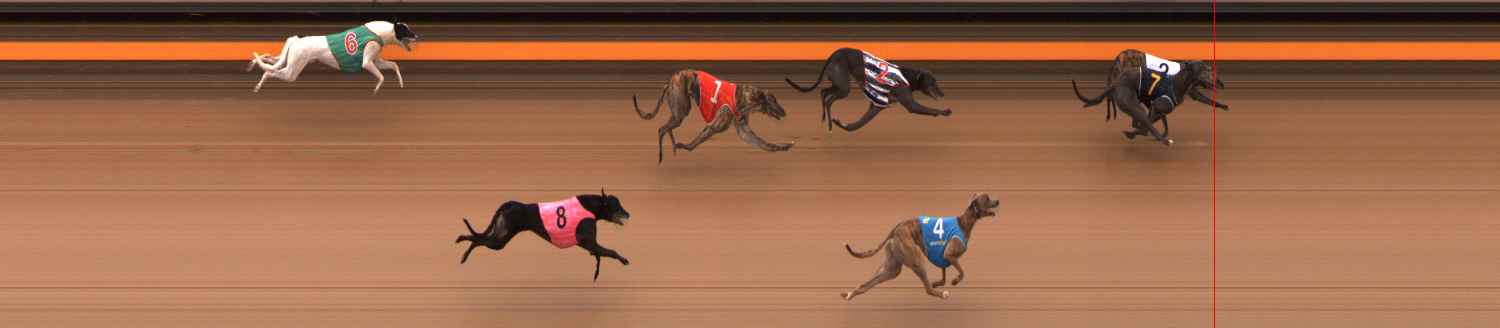 Photo finish for Ballarat Race 6