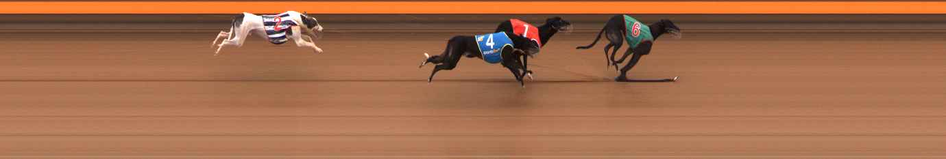 Photo finish for Ballarat Race 10