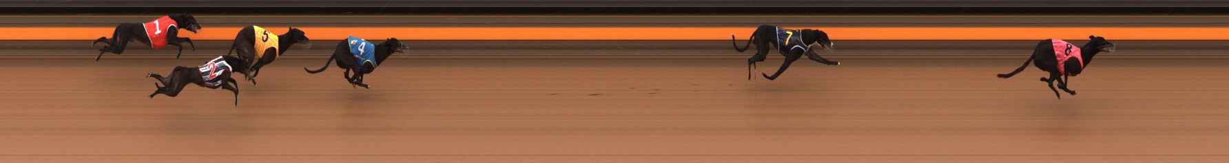 Photo finish for Ballarat Race 11