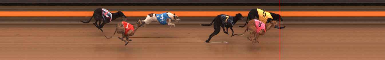 Photo finish for Ballarat Race 12