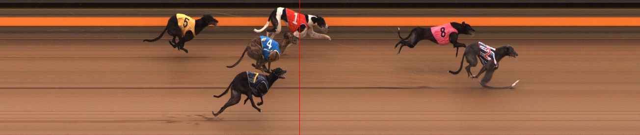 Photo finish for Ballarat Race 13
