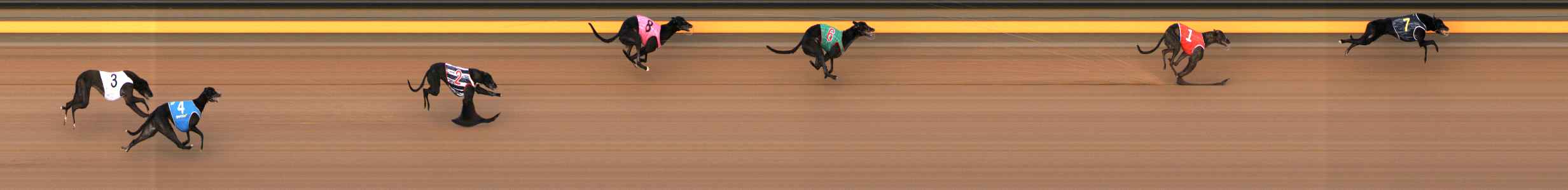 Photo finish for Ballarat Race 1