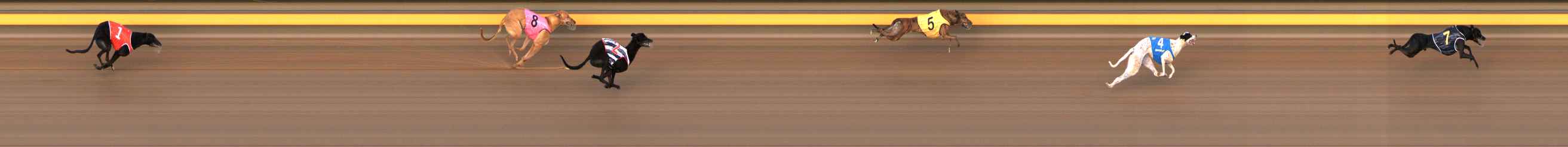 Photo finish for Ballarat Race 2