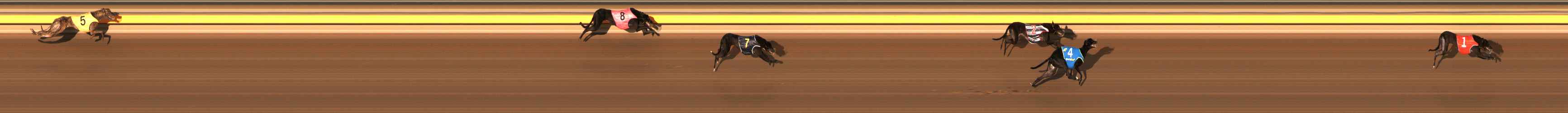Photo finish for Ballarat Race 3