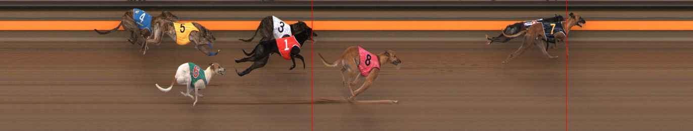 Photo finish for Ballarat Race 4