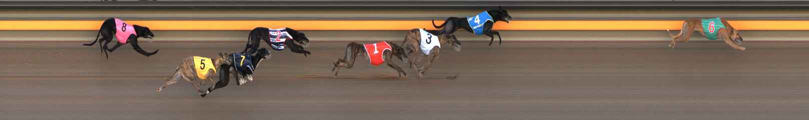 Photo finish for Ballarat Race 5