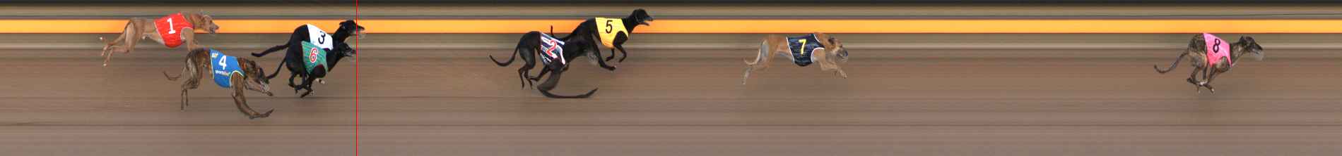 Photo finish for Ballarat Race 6