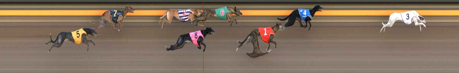 Photo finish for Ballarat Race 7