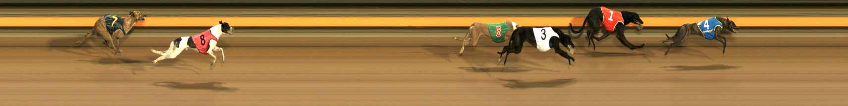 Photo finish for Ballarat Race 9