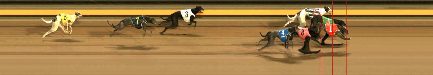 Photo finish for Ballarat Race 12