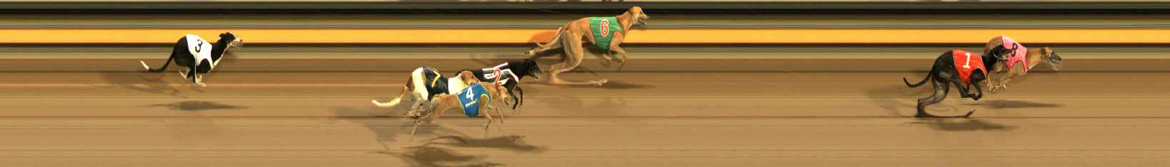 Photo finish for Ballarat Race 13
