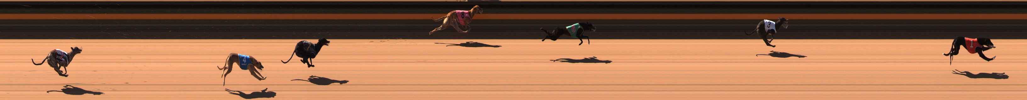 Photo finish for Ballarat Race 2