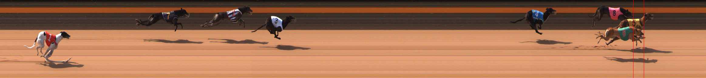Photo finish for Ballarat Race 3