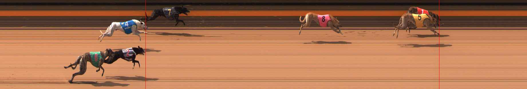 Photo finish for Ballarat Race 6