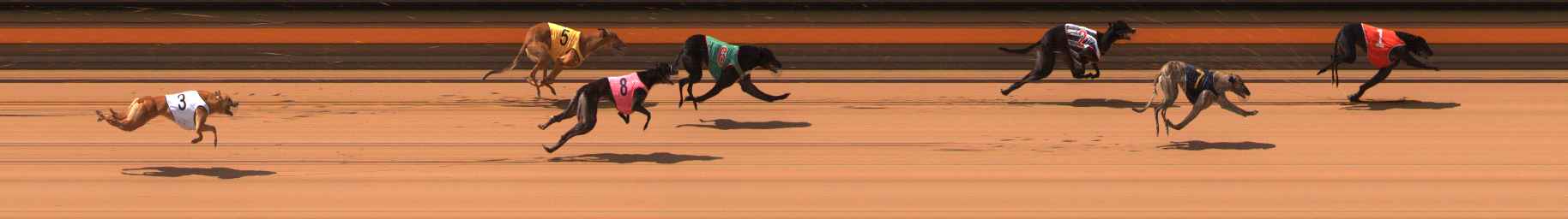 Photo finish for Ballarat Race 7