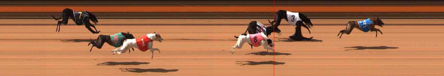 Photo finish for Ballarat Race 8