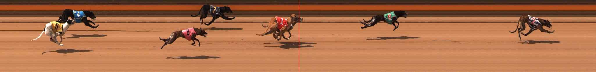 Photo finish for Ballarat Race 9