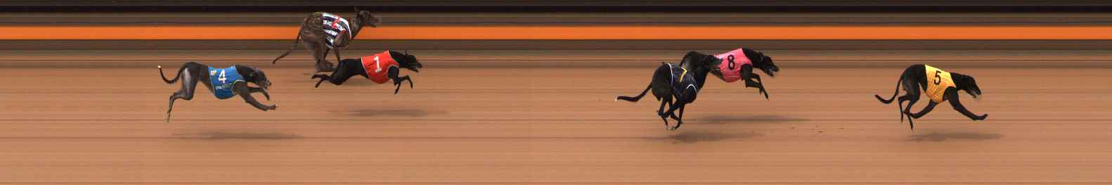 Photo finish for Ballarat Race 10