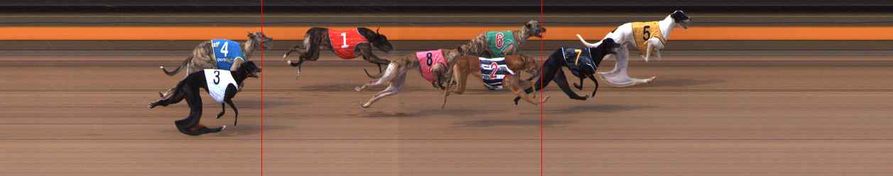 Photo finish for Ballarat Race 12