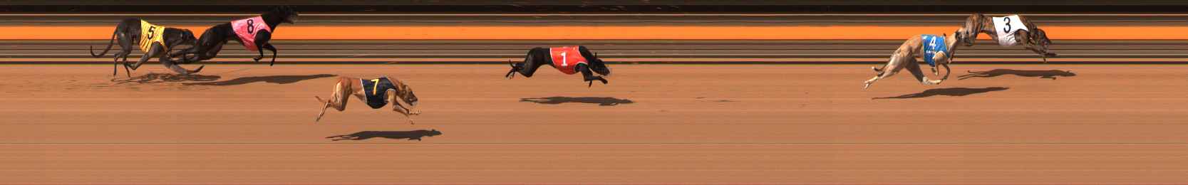Photo finish for Ballarat Race 14