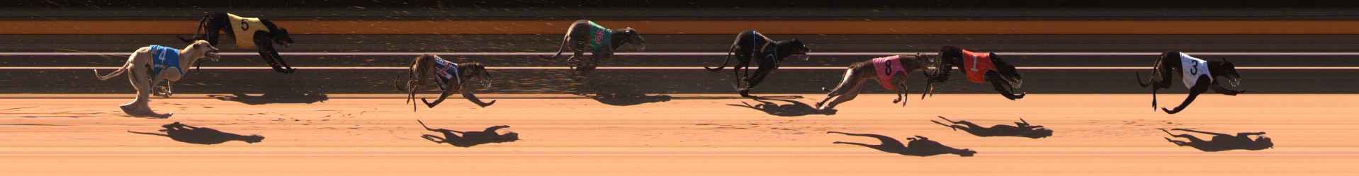 Photo finish for Ballarat Race 1