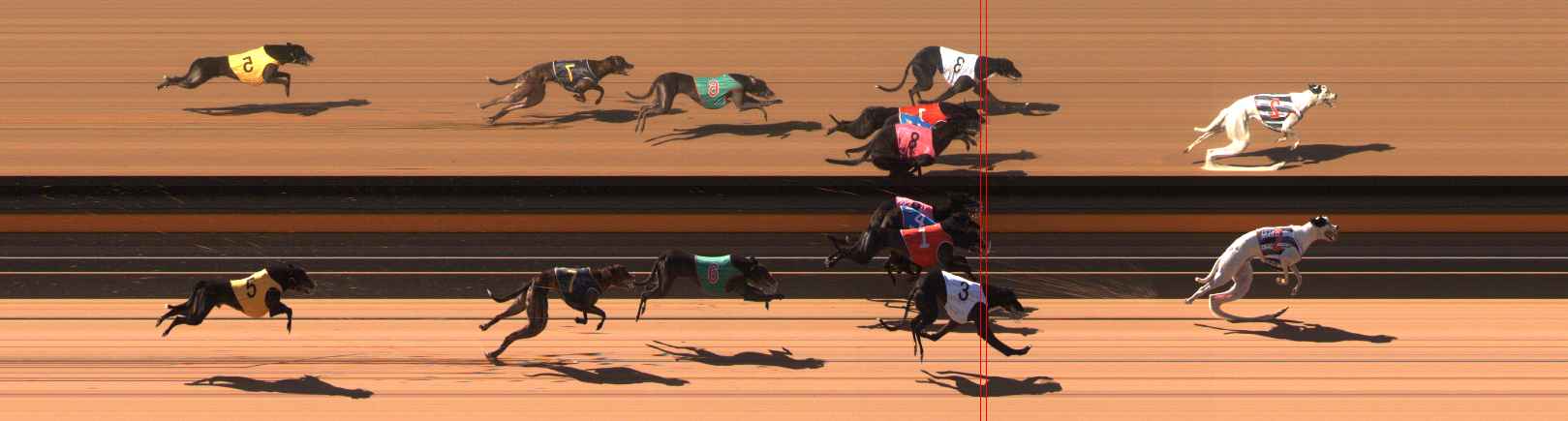 Photo finish for Ballarat Race 3
