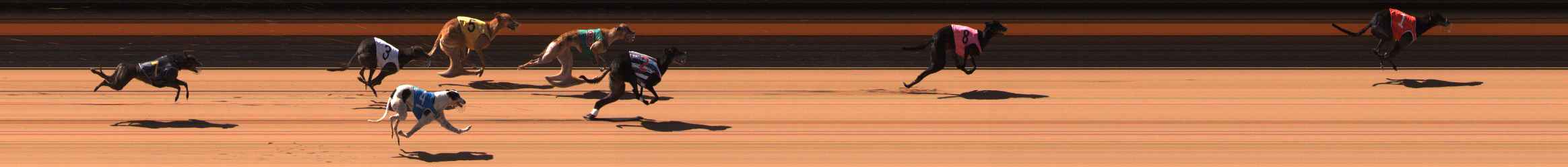 Photo finish for Ballarat Race 6