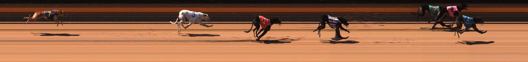 Photo finish for Ballarat Race 7