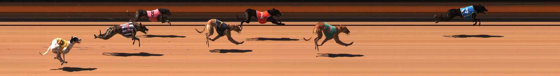 Photo finish for Ballarat Race 8