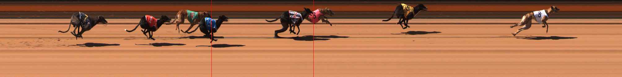 Photo finish for Ballarat Race 9