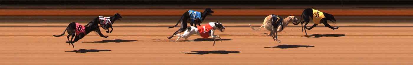 Photo finish for Ballarat Race 10