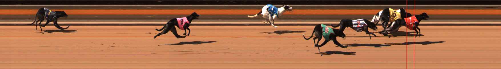 Photo finish for Ballarat Race 11