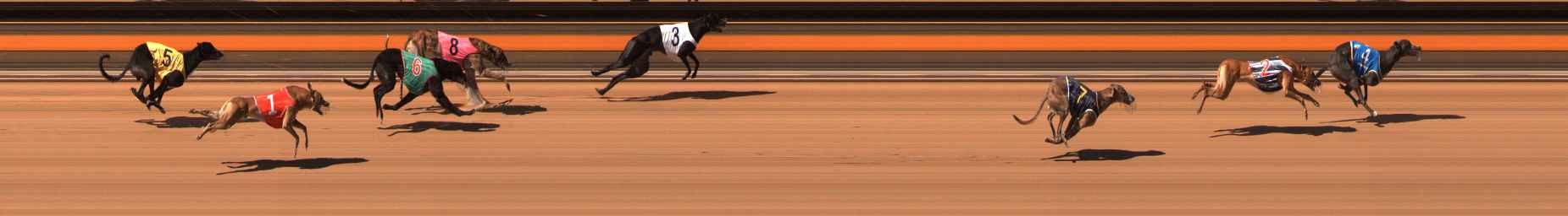 Photo finish for Ballarat Race 12