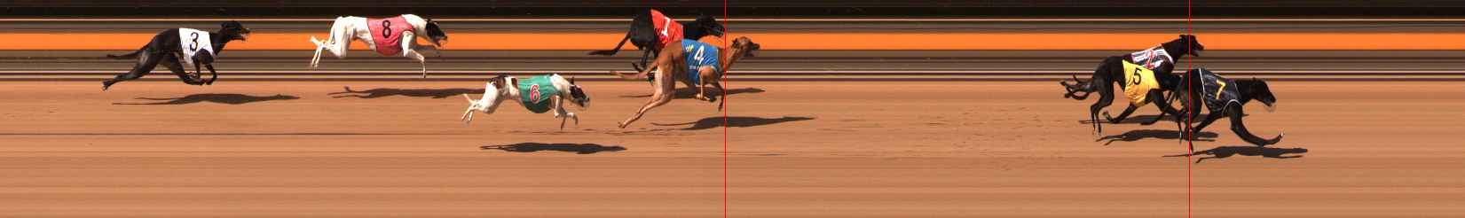 Photo finish for Ballarat Race 13