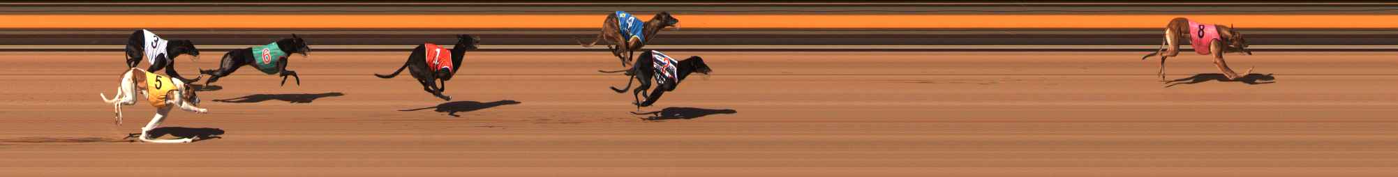 Photo finish for Ballarat Race 14